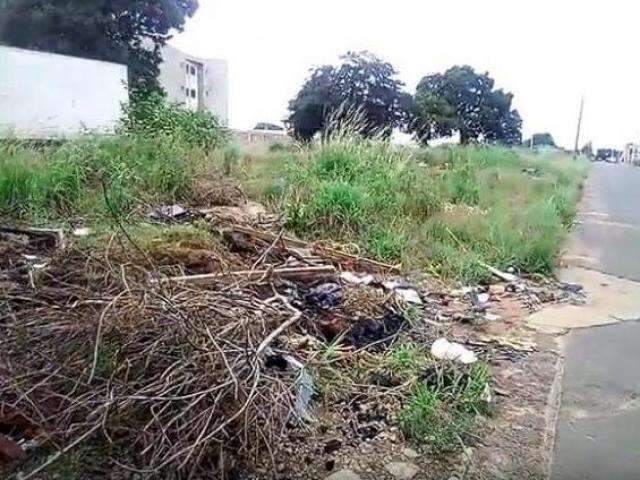 Lixo em terreno atrapalha usu&aacute;rios do transporte coletivo no Jardim Canguru