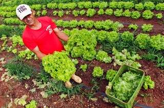 O paulista José Carlos cultiva verduras e legumes há mais de 30 anos (Foto: Marcos Ermínio)