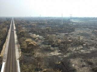 Resultado de queimada às margens da BR-262 em extensão de 60 km (Foto: Divulgação)