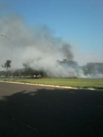 Inc&ecirc;ndio na vegeta&ccedil;&atilde;o atrapalha visibilidade de motoristas em avenida