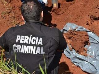 Perito criminal no Jardim Veraneio onde ossadas foram encontradas (Foto: Valmir Dias/ Polícia Civil)