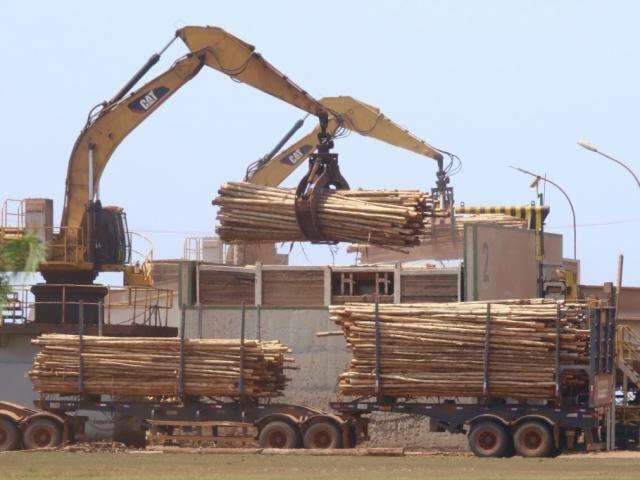 Impulsionada pela celulose, receita com exporta&ccedil;&otilde;es soma US$ 272 milh&otilde;es 