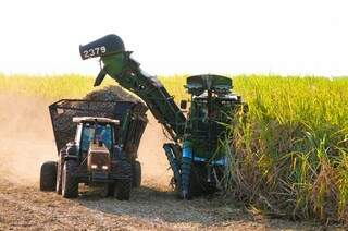  Estado é o 4º maior produtor de cana-de-açúcar do país. (Foto: Biosul)