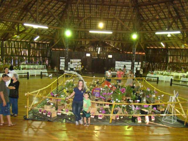 Sem verba, Feira de Orqu&iacute;deas de Sidrol&acirc;ndia &eacute; cancelada depois de 10 anos