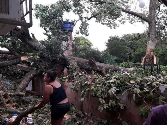 Temporal derruba &aacute;rvores e destelha resid&ecirc;ncias de distrito
