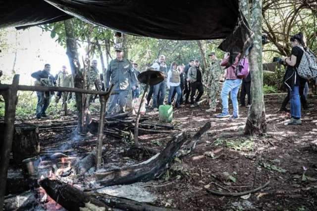 A&ccedil;&atilde;o em lavouras fracassa e crescem 225% as apreens&otilde;es de maconha 