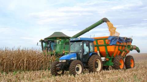 Colheita do milho safrinha chega a 60% da área plantada