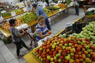 Em doze meses o preço do tomate apresenta queda de mais de 40%. (Foto: Arquivo/Campo Grande News)