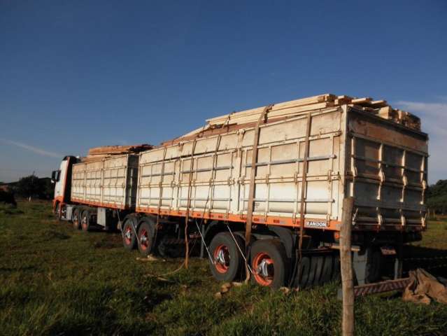 Bitrem &eacute; apreendido transportando madeira sem documenta&ccedil;&atilde;o legal