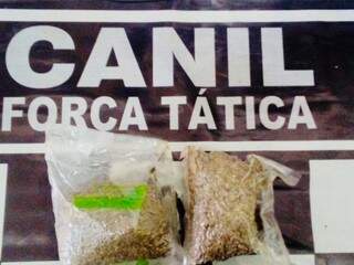 Morador de aldeia &eacute; flagrado com super maconha em &ocirc;nibus 