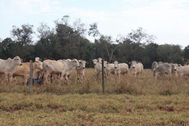 Agroneg&oacute;cio impulsiona crescimento de cidades vizinhas da Capital