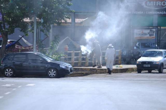 Internados ap&oacute;s ataque de abelhas recebem alta da Santa Casa