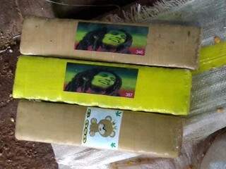 Tabletes de maconha estavam identificados com adesivos de ursinho e de Bob Marley (Foto: Adilson Domingos)
