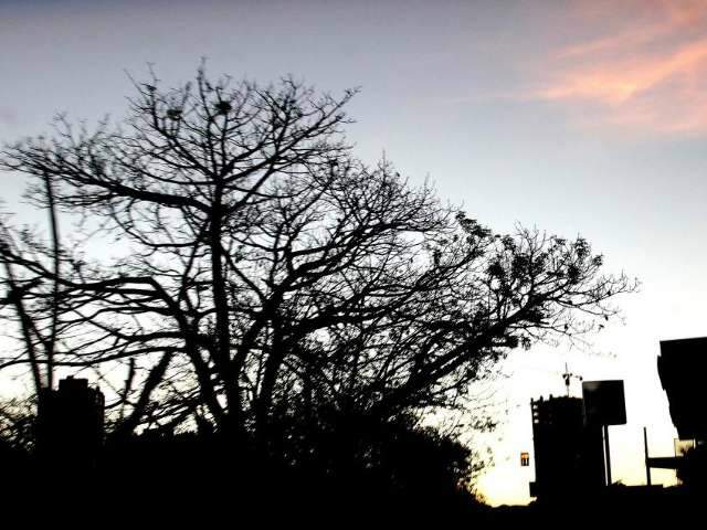 Ter&ccedil;a-feira ser&aacute; de sol com temperaturas em eleva&ccedil;&atilde;o e noite fria 
