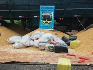 Pol&iacute;cia encontra 1,6 t de maconha escondida em carga de milho