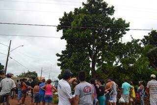 Vítima fazia colheita do fruto de cima da árvore de cerca de 10 metros. (Foto: Simão Nogueira)