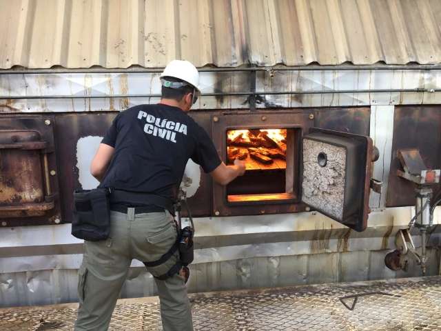 Pol&iacute;cia Civil incinera mais de 1 tonelada de maconha apreendida
