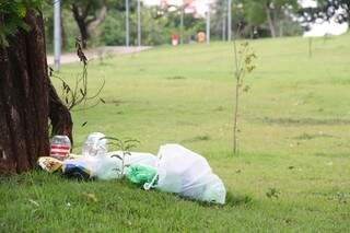 Alguns até juntam o lixo, mas deixam sacos jogados dentro do  espaço (Foto: Marcos Ermínio)