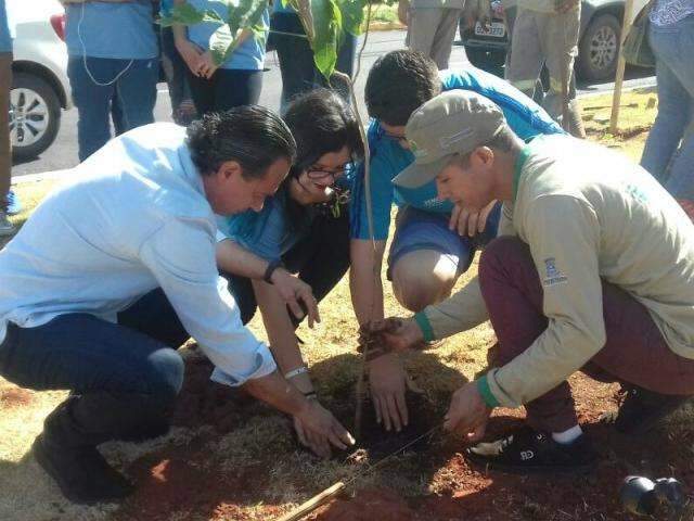 Canteiros das Avenidas Mato Grosso e Nelly Martins ganham 125 mudas