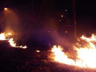 Fogo começou por volta de meia noite e as chamas ameaçavam atingir casas próximas. (Foto: Direto das Ruas)