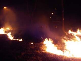 Fogo começou por volta de meia noite e as chamas ameaçavam atingir casas próximas. (Foto: Direto das Ruas)