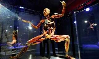 Corpos, conservados como múmias modernas, integram exposição a partir do dia 25