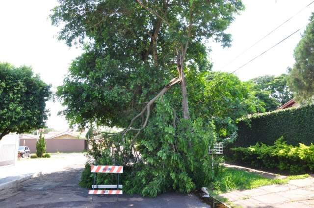 Vendaval desta quinta chegou a 90 km/h em regi&otilde;es da Capital