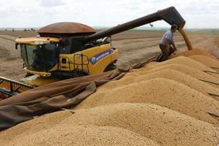 Em relação a produção de milho, a queda é de 17,4% no Estado, em comparação com a produção de 2015. (Foto: Eliel Oliveira)