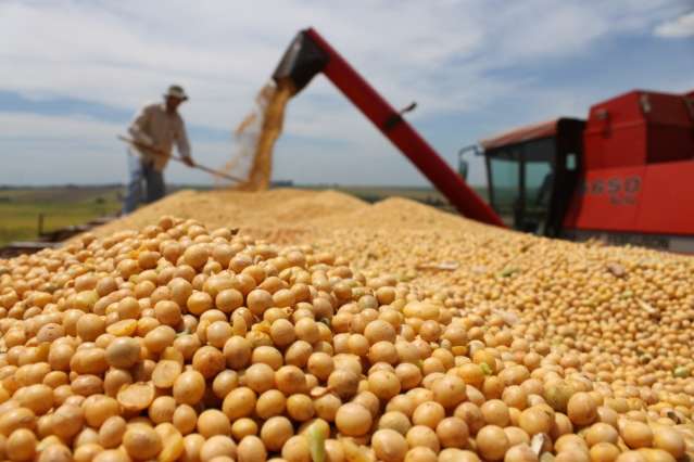 Bom pre&ccedil;o anima produtores e safra de soja deve quebrar 2&ordm; recorde