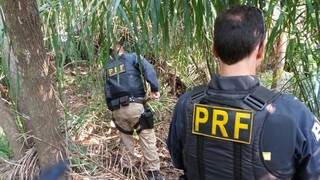 Policiais rodoviários federais durante buscas em fazenda do interior de MS (Foto: Divulgação/ PRF)