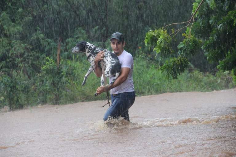 Morador socorre animal de estimação durante as fortes chuvas que atingiram Bonito