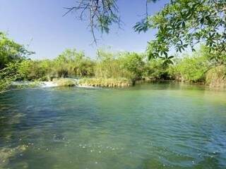 Rio Formoso é conhecidos pelas águas cristalinas (Foto: Divulgação MPMS)