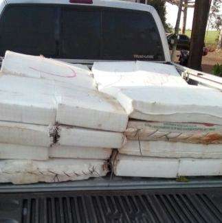 Rapaz &eacute; preso com 780 kg de maconha na MS-164
