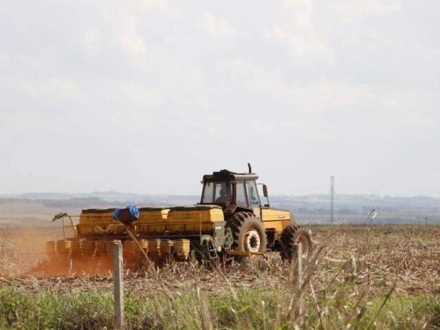 Plantio da soja entra na reta final com 72% da semeadura conclu&iacute;da em MS
