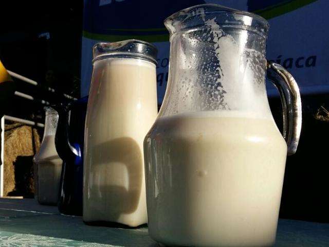 Mussarela e queijo minas ficam 10% mais caros na entressafra do leite