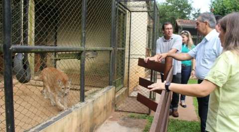 Governador promete ampliar Centro de Reabilitação de Animais Silvestres