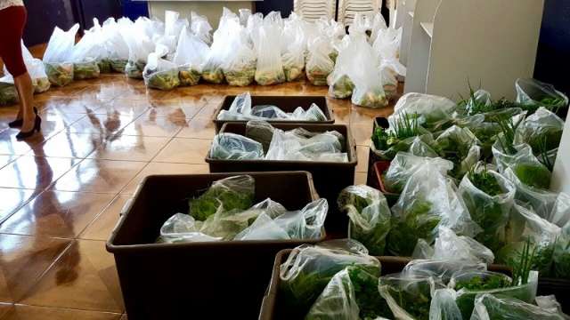 Agricultura familiar &eacute; base de projeto social que distribui cestas de alimentos