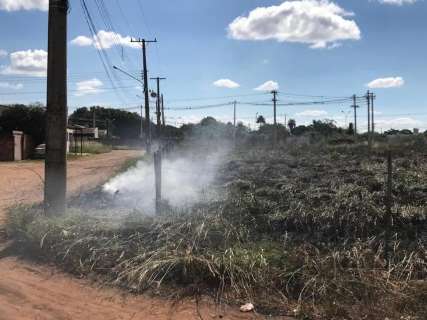 Inc&ecirc;ndio consome matagal em terreno baldio e causa transtorno a vizinhos
