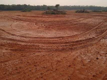 PMA descobre 50 hectares de área desmatada e multa em R$ 283 mil