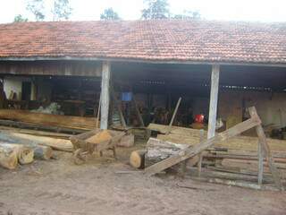 Serraria foi encontrada com 16 toras de madeira, que totalizaram 12 metros cúbicos (Foto: Divulgação)