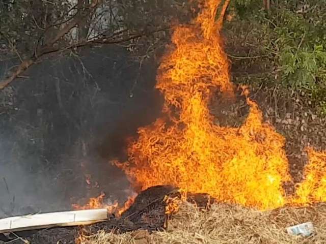 Com tempo seco, inc&ecirc;ndios viram rotina e preocupam moradores na Capital