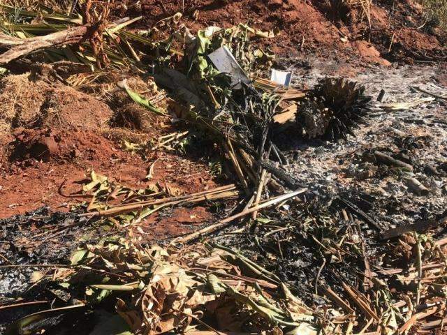 Lixo em terrenos &eacute; for&ccedil;a extra para fogo em &eacute;poca de seca e queimadas