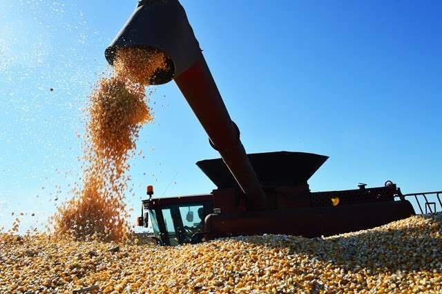 Conab negocia em leil&otilde;es mais 120 toneladas de milho de MS