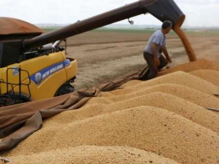 Preço da saca de milho cai 56% e comercialização estagna em MS