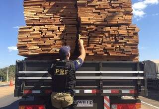 Três carretas são apreendidas transportando cargas ilegais de madeira