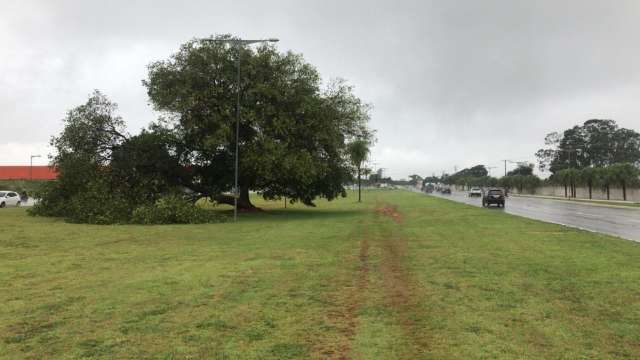 Durante chuva, carro derruba poste e interdita regi&atilde;o da Ernesto Geisel
