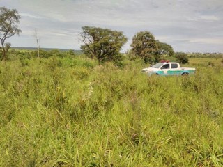 Área de 3 hectares desmatada em Bela Vista já estava com pastagem (Divulgação/ PMA)