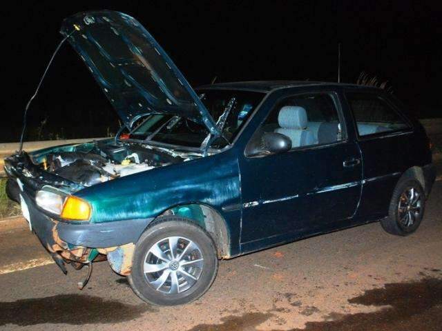 Boi causa acidente envolvendo carreta e ve&iacute;culo na MS-395