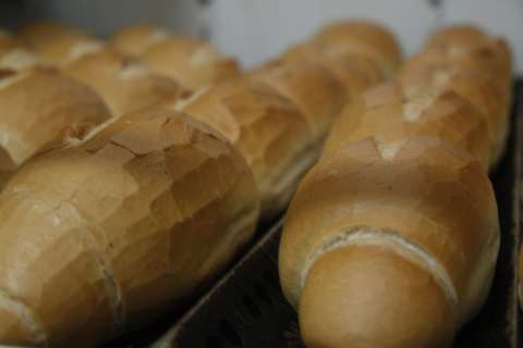 Preço do pão francês chega a R$ 10,50, mostra pesquisa do Procon