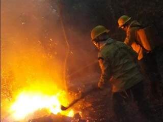 Brigadistas do Prevfogo combatem queimadas em Corumbá (Foto: Divulgação)